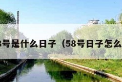 5.8号是什么日子（58号日子怎么样）