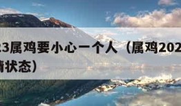 2023属鸡要小心一个人（属鸡2024年感情状态）