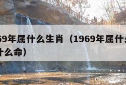 1969年属什么生肖（1969年属什么生肖什么命）