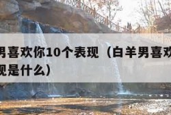 白羊男喜欢你10个表现（白羊男喜欢你10个表现是什么）