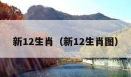 新12生肖（新12生肖图）