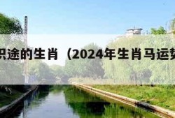 老马识途的生肖（2024年生肖马运势大全）