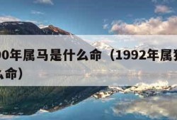 1990年属马是什么命（1992年属猴是什么命）