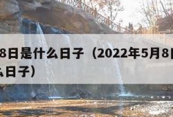 5月8日是什么日子（2022年5月8日是什么日子）