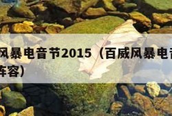 百威风暴电音节2015（百威风暴电音节2023阵容）