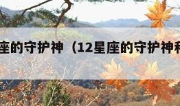 12星座的守护神（12星座的守护神和守护兽）