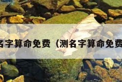 测名字算命免费（测名字算命免费版）