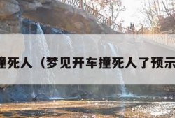 梦见撞死人（梦见开车撞死人了预示什么）