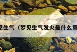 梦见生气（梦见生气发火是什么意思）