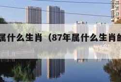 87年属什么生肖（87年属什么生肖的属性）