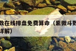 紫微斗数在线排盘免费算命（紫微斗数在线排盘免费详解）