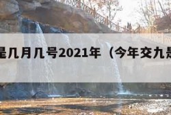 交九是几月几号2021年（今年交九是什么时间）