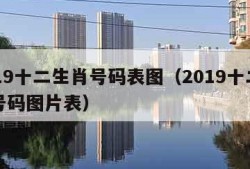 2019十二生肖号码表图（2019十二生肖号码图片表）