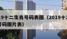 2019十二生肖号码表图（2019十二生肖号码图片表）