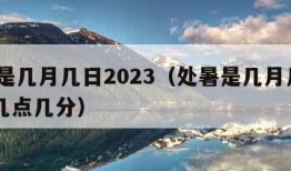 处暑是几月几日2023（处暑是几月几日2023几点几分）