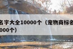 商标名字大全10000个（宠物商标名字大全10000个）