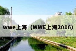 wwe上海（WWE上海2016）