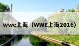 wwe上海（WWE上海2016）