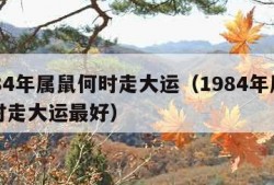 1984年属鼠何时走大运（1984年属鼠何时走大运最好）