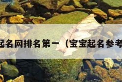 宝宝起名网排名第一（宝宝起名参考看看）