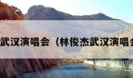 林俊杰武汉演唱会（林俊杰武汉演唱会门票）