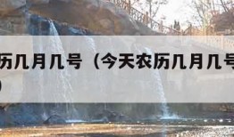 今天农历几月几号（今天农历几月几号阳历几月几号）