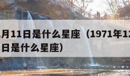 12月11日是什么星座（1971年12月11日是什么星座）