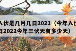 今年入伏是几月几日2021（今年入伏是几月几日2022今年三伏天有多少天）