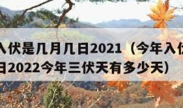 今年入伏是几月几日2021（今年入伏是几月几日2022今年三伏天有多少天）