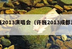 许巍2013演唱会（许巍2013成都演唱会）