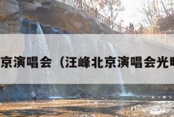 汪峰北京演唱会（汪峰北京演唱会光明场版）