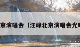 汪峰北京演唱会（汪峰北京演唱会光明场版）