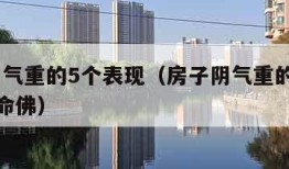 房子阴气重的5个表现（房子阴气重的5个表现_本命佛）