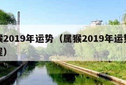 属猴2019年运势（属猴2019年运势及运程）