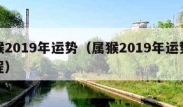 属猴2019年运势（属猴2019年运势及运程）