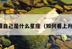 怎么看自己是什么星座（如何看上升星座）