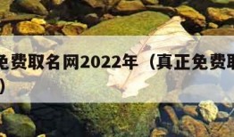 真正免费取名网2022年（真正免费取名网2021）