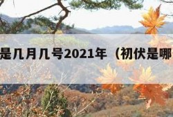 初伏是几月几号2021年（初伏是哪天2021）