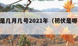 初伏是几月几号2021年（初伏是哪天2021）