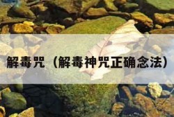 解毒咒（解毒神咒正确念法）