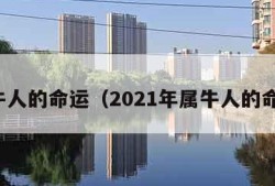 属牛人的命运（2021年属牛人的命运）