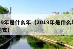 2019年是什么年（2019年是什么年天干地支）