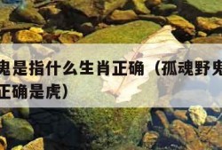 孤魂野鬼是指什么生肖正确（孤魂野鬼是指什么生肖正确是虎）