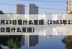 11月23日是什么星座（1983年11月23日是什么星座）