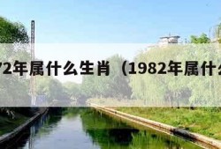 1972年属什么生肖（1982年属什么生肖）