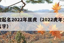 女宝起名2022年属虎（2022虎年女宝宝名字）