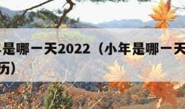 小年是哪一天2022（小年是哪一天2023农历）