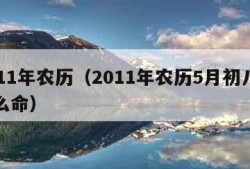 2011年农历（2011年农历5月初八是什么命）