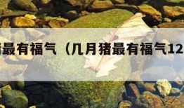 几月猪最有福气（几月猪最有福气12月出生）