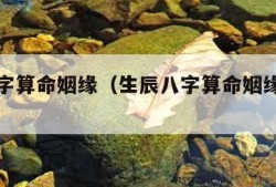 生辰八字算命姻缘（生辰八字算命姻缘运势免费）